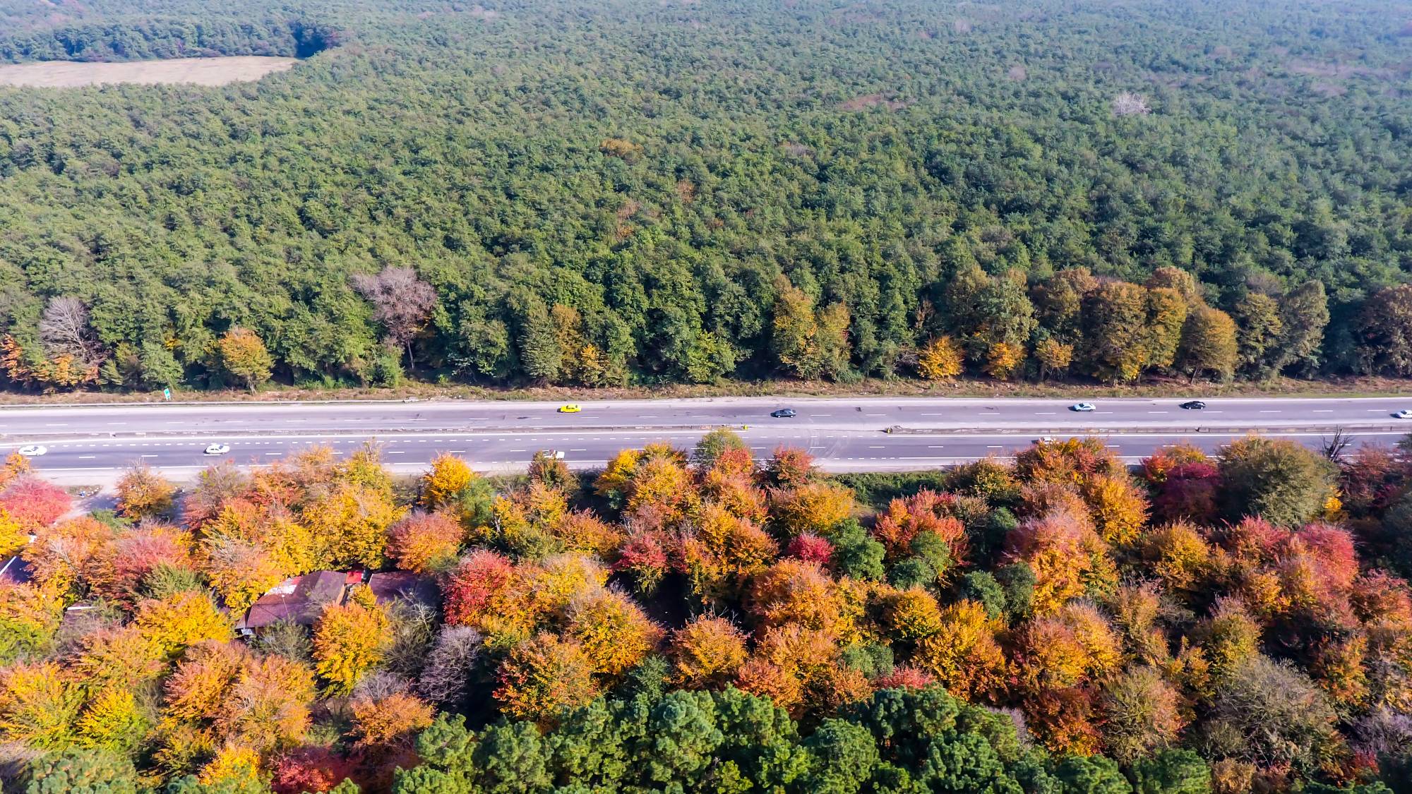 DJI_0044-copy.jpg